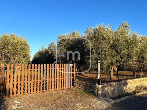 terreno agricolo in vendita a Zagarolo