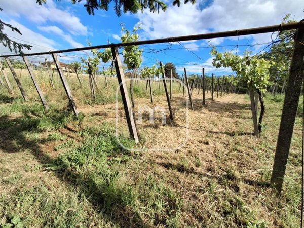 appartamento in vendita a Zagarolo