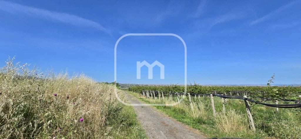 terreno agricolo in vendita a Zagarolo