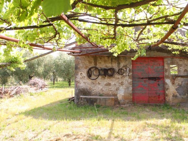 casa indipendente in vendita a Zagarolo