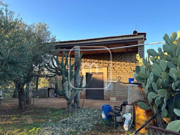 terreno agricolo in vendita a Zagarolo