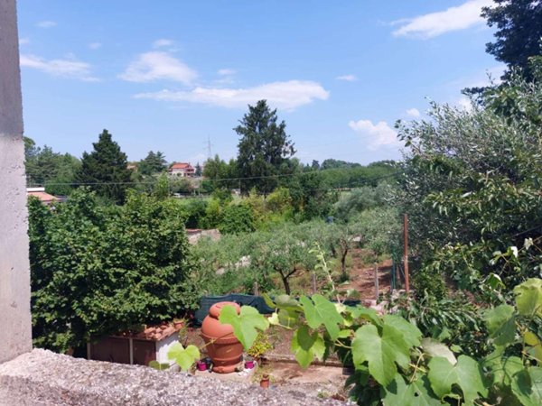 appartamento in vendita a Zagarolo