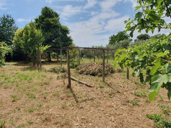 terreno agricolo in vendita a Zagarolo