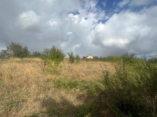 terreno agricolo in vendita a Zagarolo in zona Valle Martella