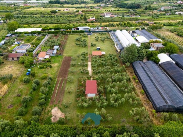 appartamento in vendita a Zagarolo