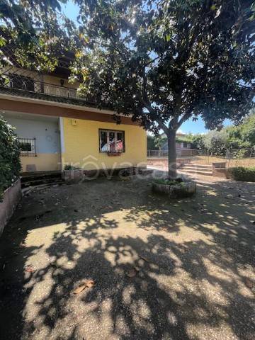 appartamento in vendita a Zagarolo