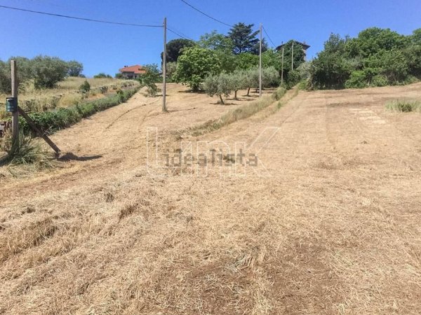casale in vendita a Zagarolo