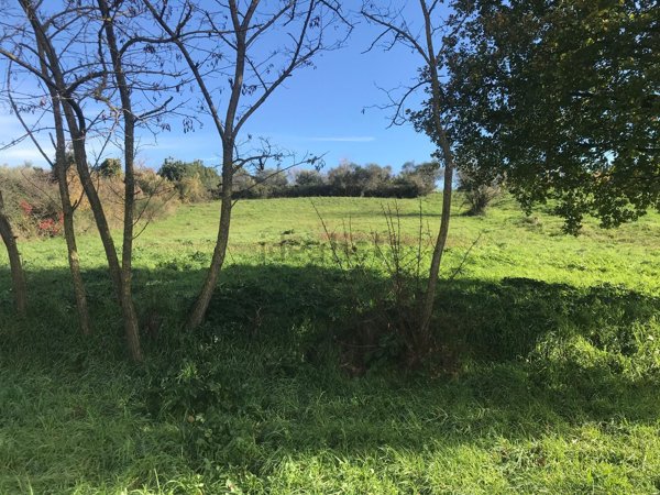 terreno agricolo in vendita a Zagarolo