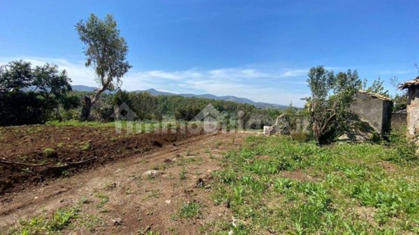 appartamento in vendita a Zagarolo
