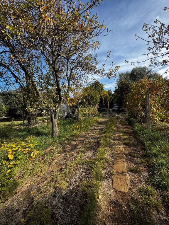 appartamento in vendita a Zagarolo