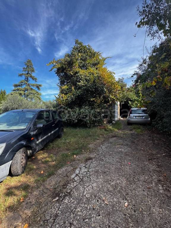 appartamento in vendita a Zagarolo