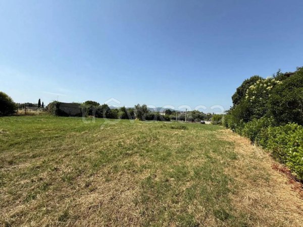 terreno agricolo in vendita a Zagarolo