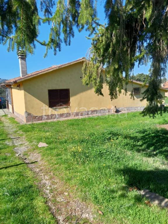 appartamento in vendita a Zagarolo