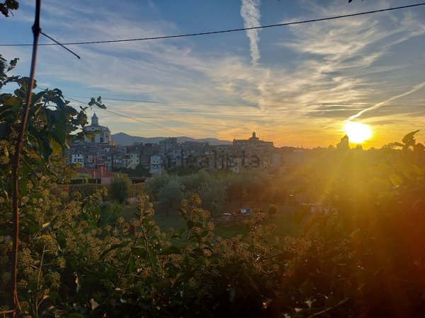 terreno edificabile in vendita a Zagarolo