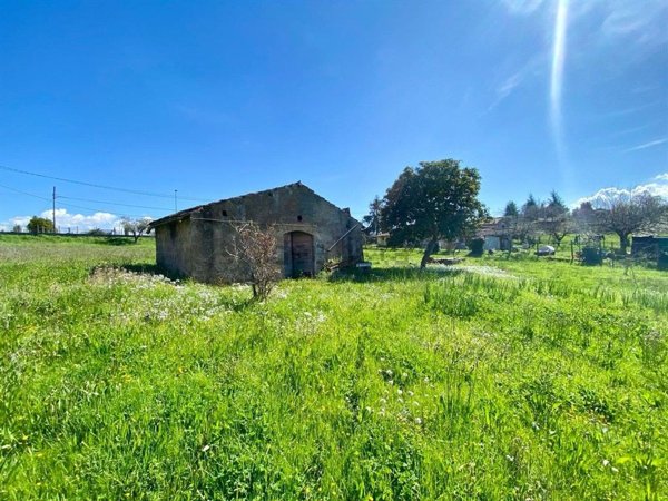 appartamento in vendita a Zagarolo