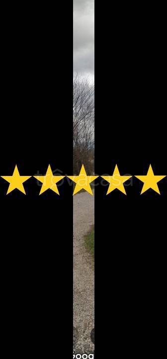 casa indipendente in vendita a Zagarolo