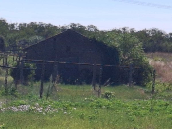 terreno agricolo in vendita a Zagarolo