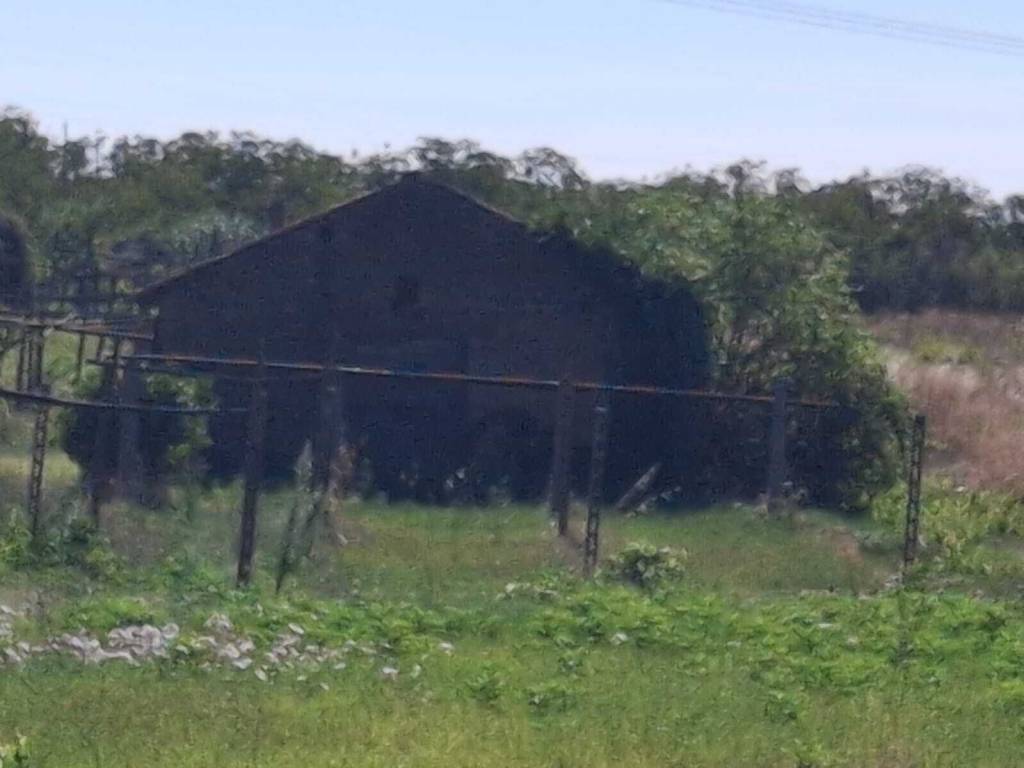 terreno agricolo in vendita a Zagarolo