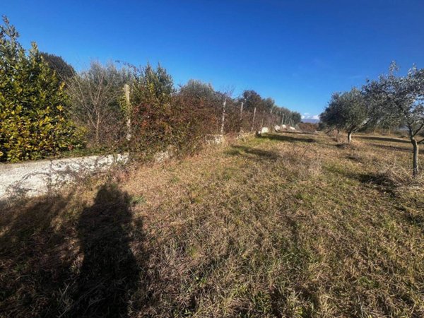 terreno agricolo in vendita a Zagarolo