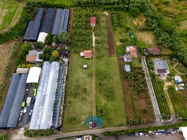 terreno agricolo in vendita a Zagarolo
