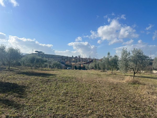 terreno agricolo in vendita a Zagarolo