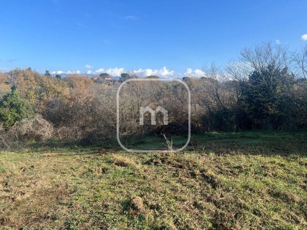 terreno agricolo in vendita a Zagarolo