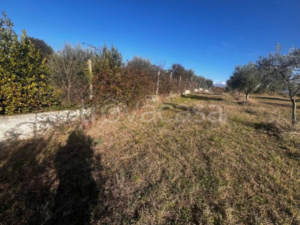 terreno agricolo in vendita a Zagarolo