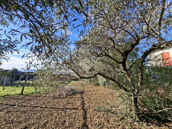 terreno edificabile in vendita a Zagarolo in zona Valle Martella