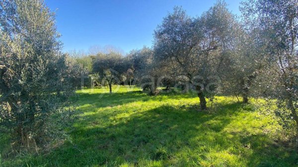 terreno agricolo in vendita a Zagarolo in zona Valle Martella