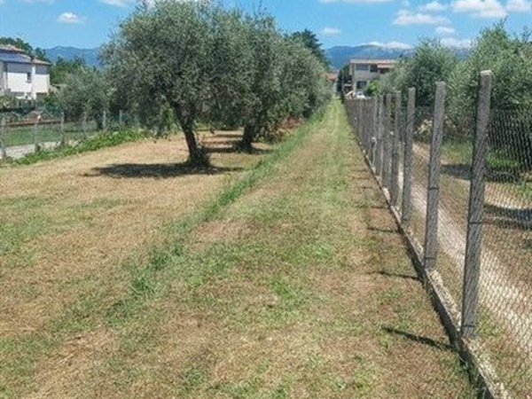 terreno agricolo in vendita a Zagarolo