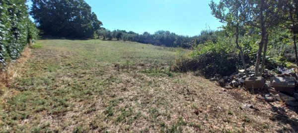 terreno agricolo in vendita a Zagarolo