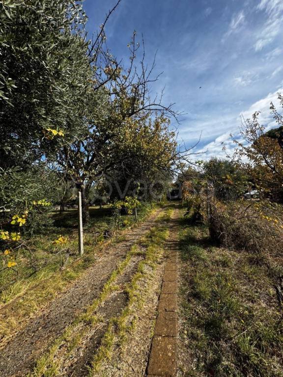 appartamento in vendita a Zagarolo