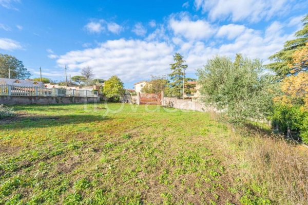 terreno agricolo in vendita a Zagarolo in zona Valle Martella