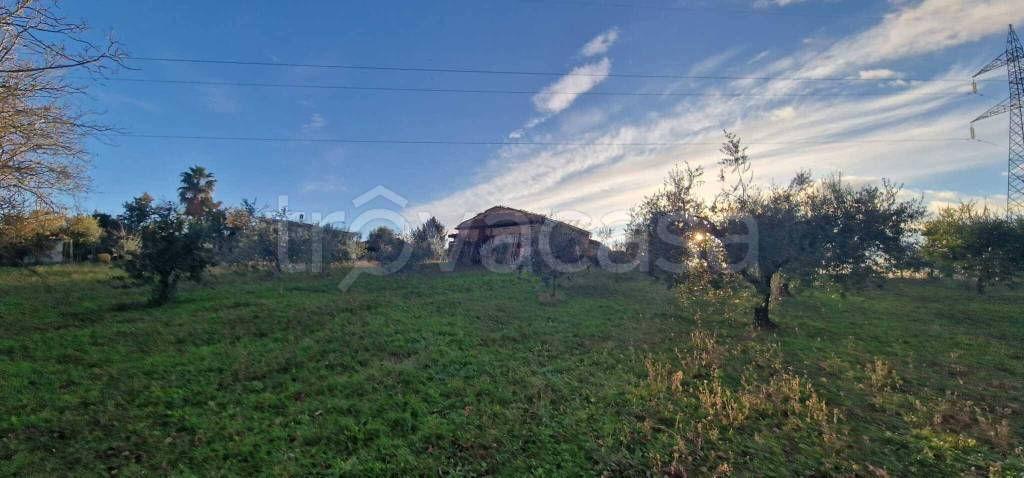 appartamento in vendita a Zagarolo