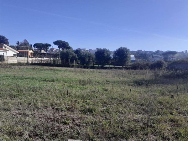terreno agricolo in vendita a Zagarolo in zona Valle Martella