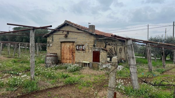 appartamento in vendita a Zagarolo