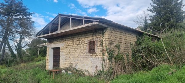casa indipendente in vendita a Zagarolo