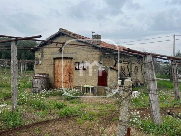 casa indipendente in vendita a Zagarolo