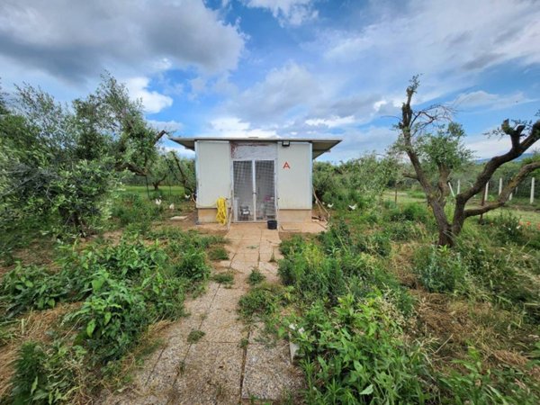 casa indipendente in vendita a Zagarolo