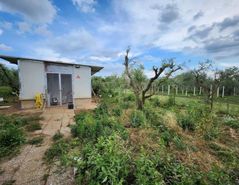 casale in vendita a Zagarolo