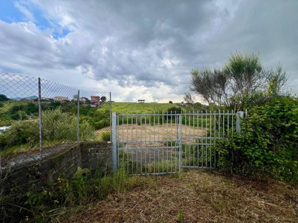 terreno agricolo in vendita a Zagarolo