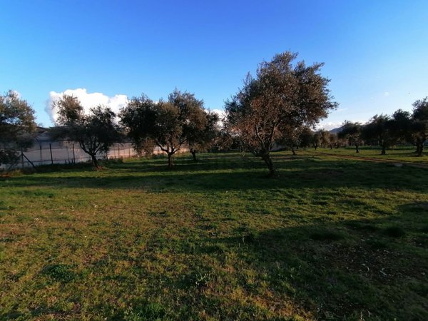 appartamento in vendita a Zagarolo