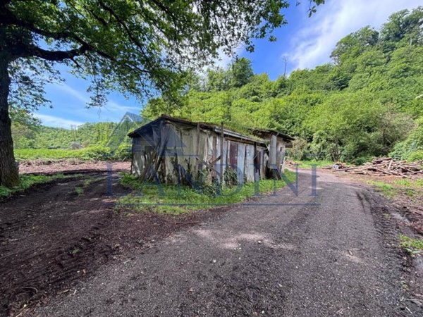 terreno agricolo in vendita a Zagarolo