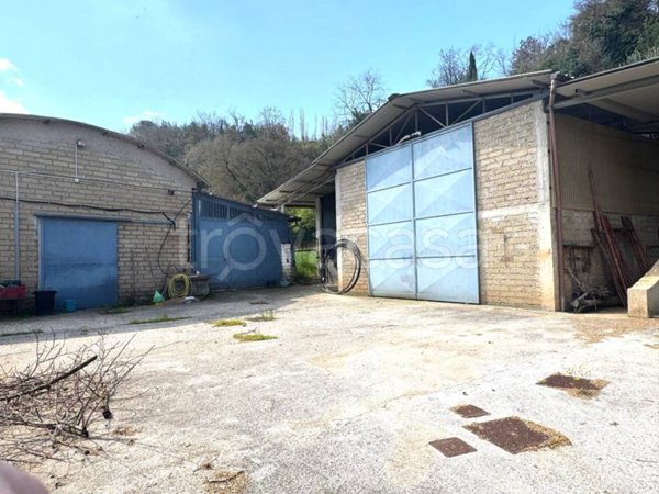 negozio in vendita a Zagarolo