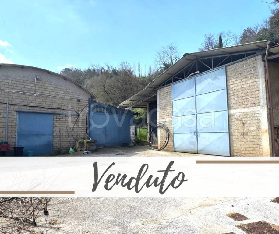 negozio in vendita a Zagarolo