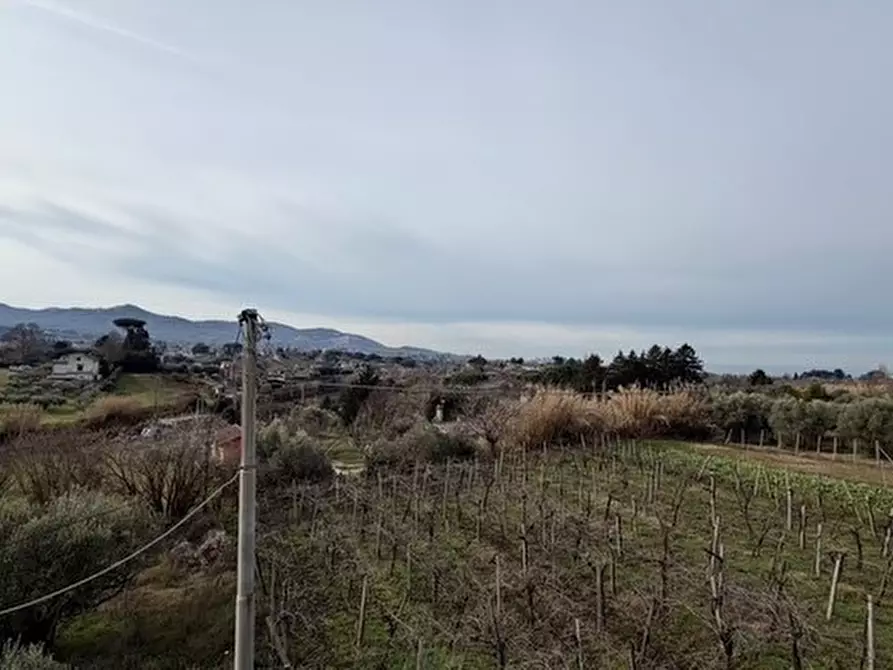 casa indipendente in vendita a Zagarolo