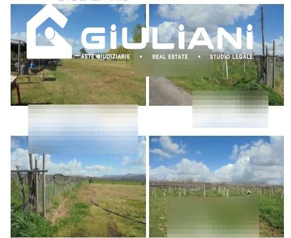 casa indipendente in vendita a Zagarolo in zona Valle Martella