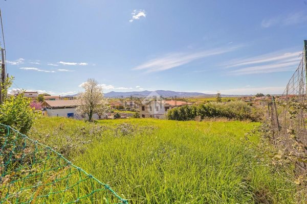 terreno agricolo in vendita a Zagarolo in zona Valle Martella