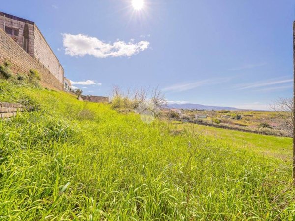 terreno agricolo in vendita a Zagarolo in zona Valle Martella