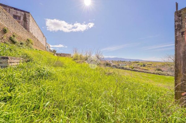 terreno agricolo in vendita a Zagarolo in zona Valle Martella